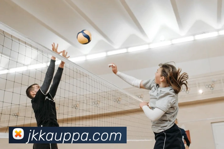 pa真人视讯平台生态图